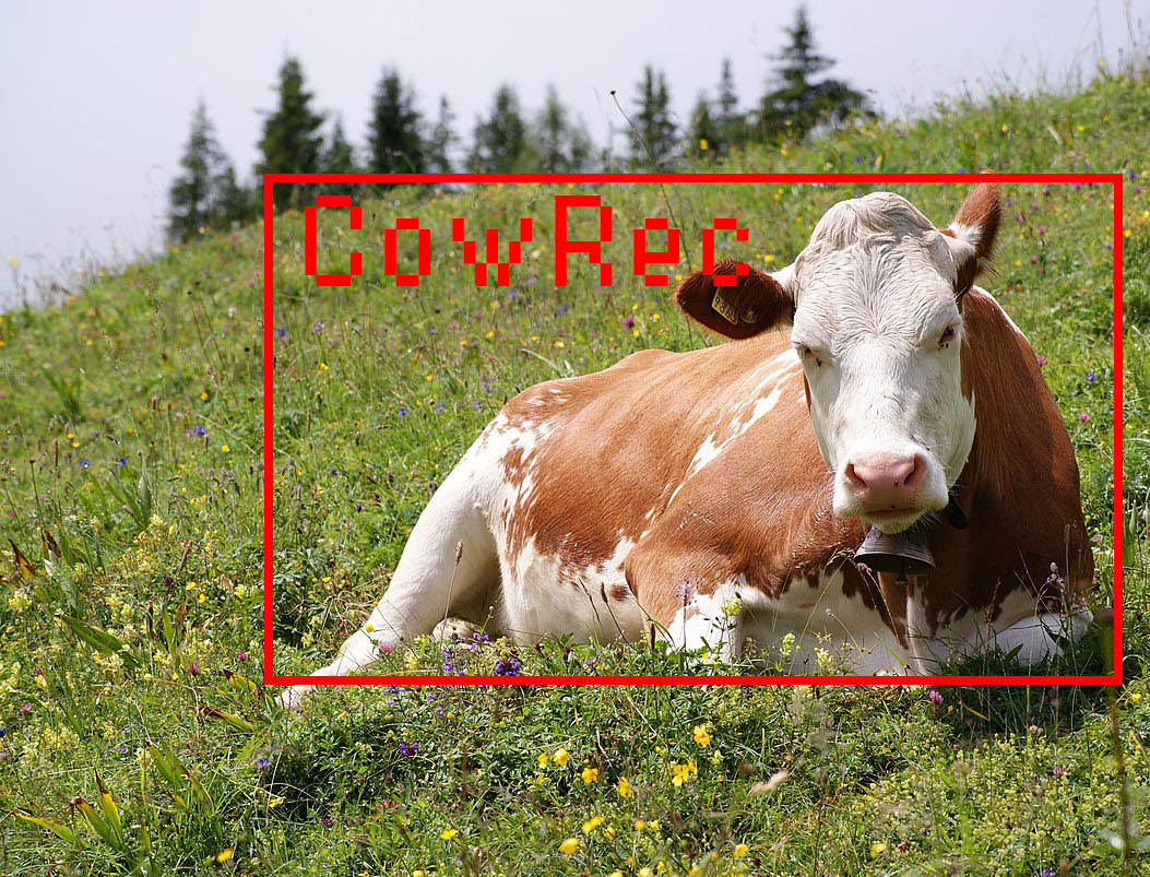 CowRec Project