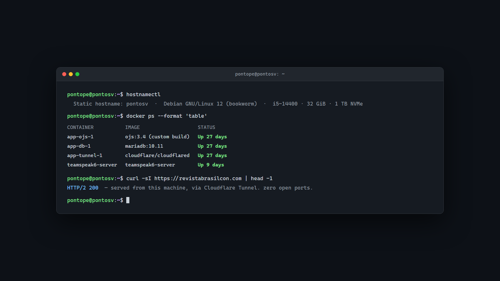 pontosv Home Server